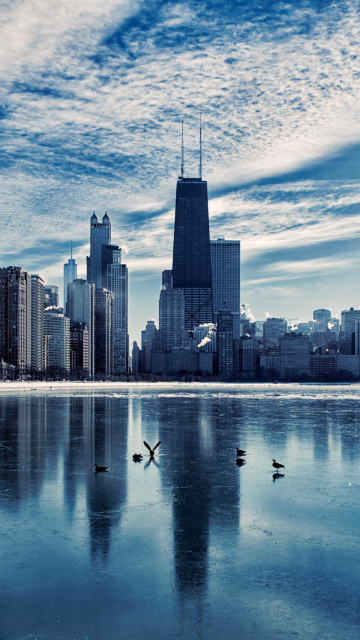 Fondo de pantalla Chicago, Illinois 360x640