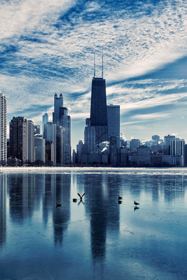 Fondo de pantalla Chicago, Illinois 640x960