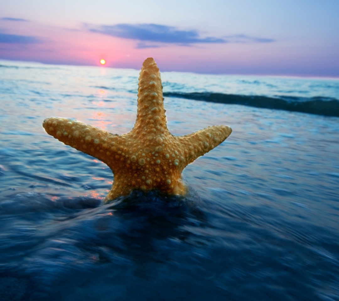 Screenshot №1 pro téma Happy Sea Star At Sunset 1080x960