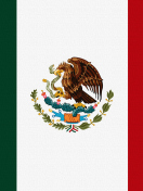 Screenshot №1 pro téma Flag Of Mexico 132x176