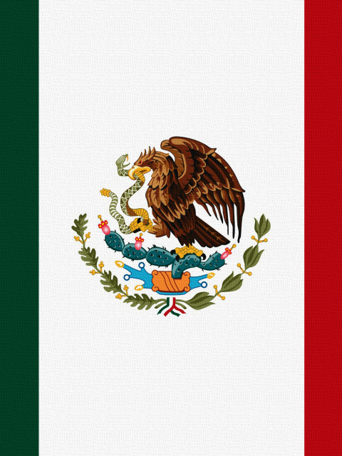 Fondo de pantalla Flag Of Mexico 480x640