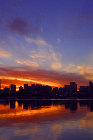 San Diego California Night wallpaper 320x480