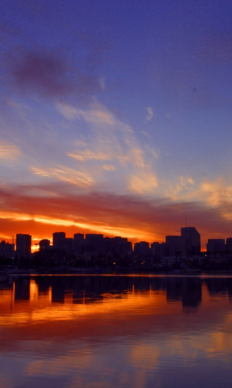 San Diego California Night screenshot #1 480x800