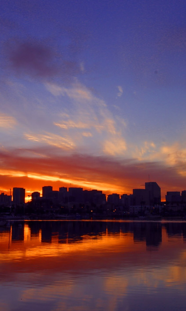 Sfondi San Diego California Night 768x1280