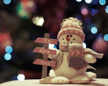 Sfondi Holiday Snowman 220x176