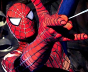 Screenshot №1 pro téma Spiderman 176x144