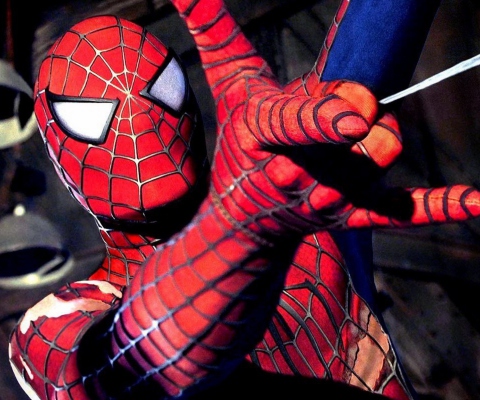 Обои Spiderman 480x400