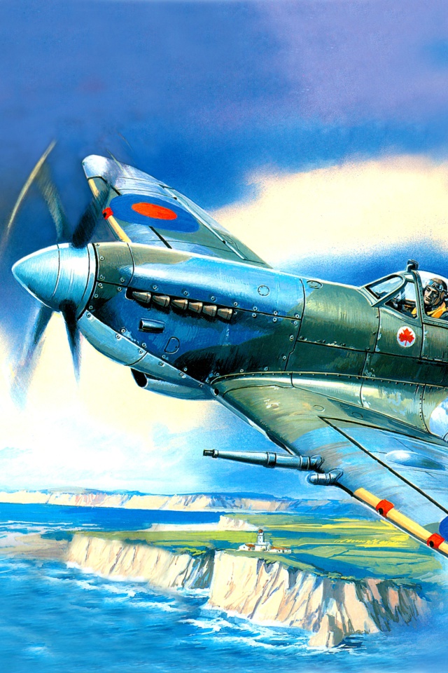Das British Supermarine Spitfire Mk IX Wallpaper 640x960