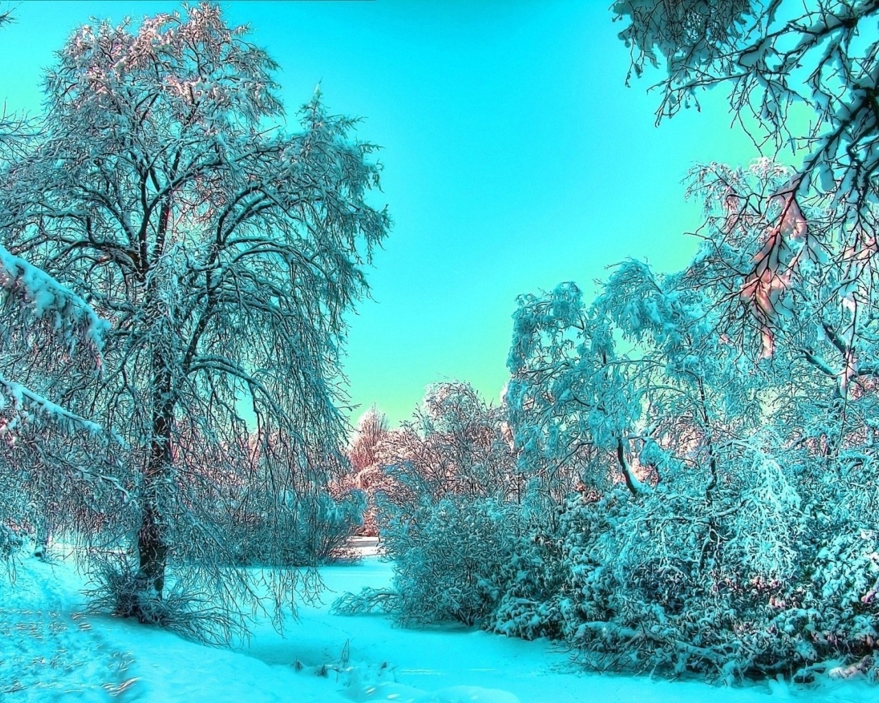 Screenshot №1 pro téma Last Month of Winter 1280x1024