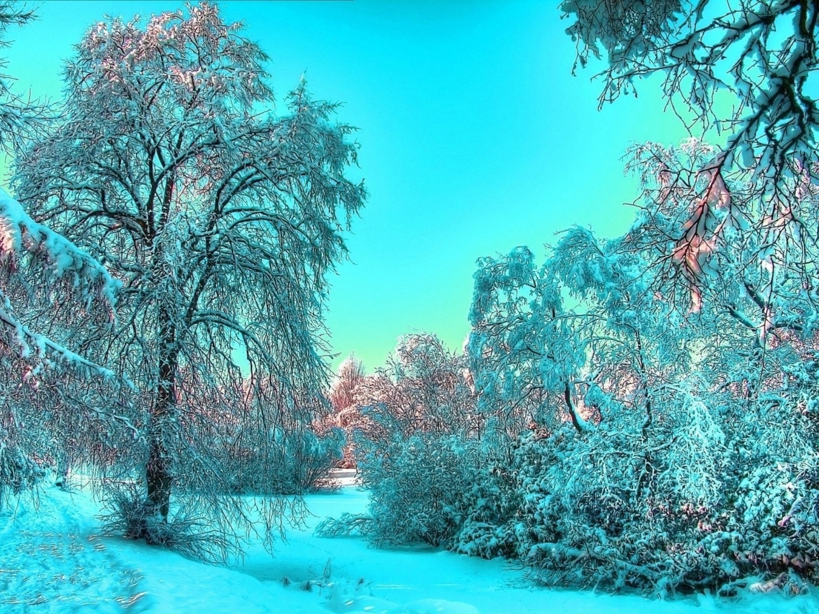 Last Month of Winter wallpaper 1600x1200