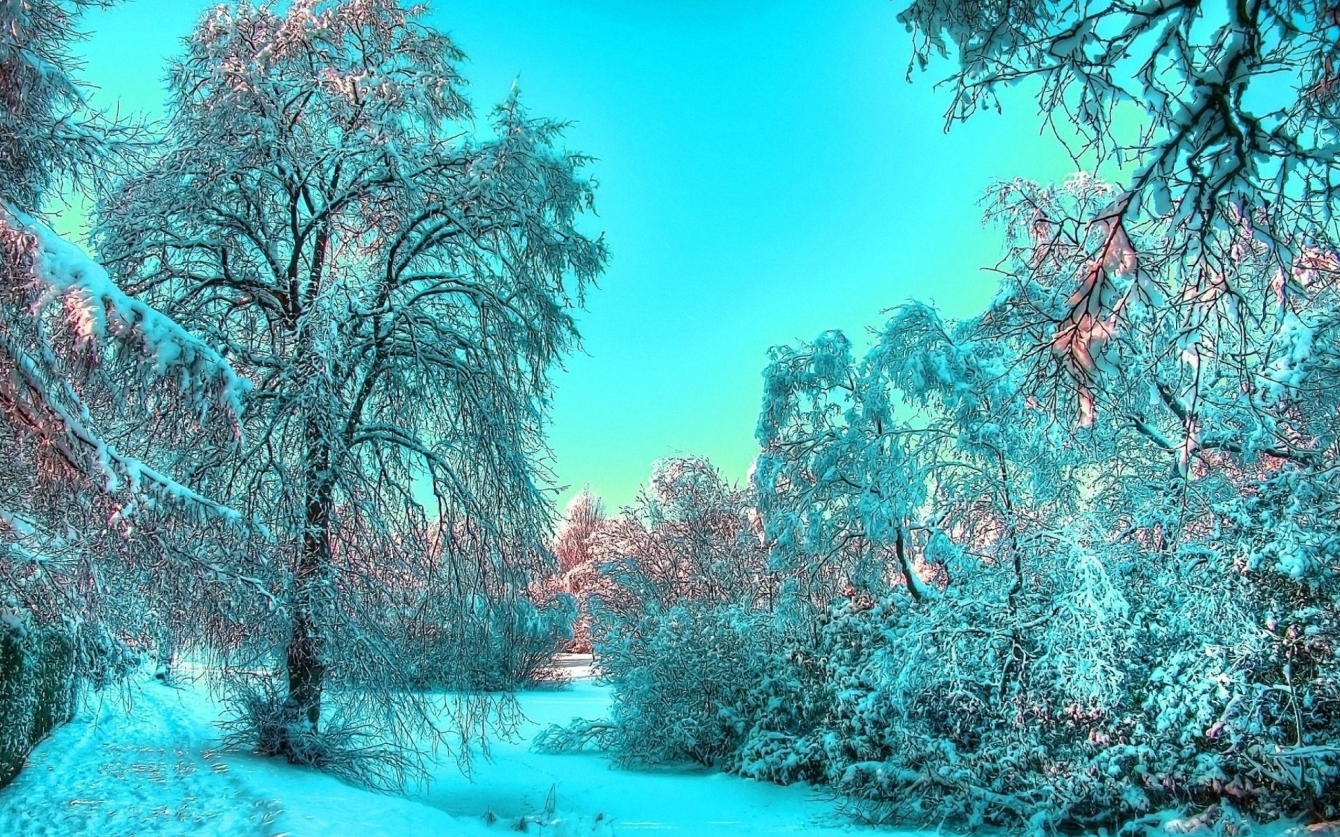 Last Month of Winter wallpaper 1920x1200