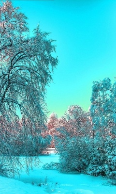 Screenshot №1 pro téma Last Month of Winter 240x400