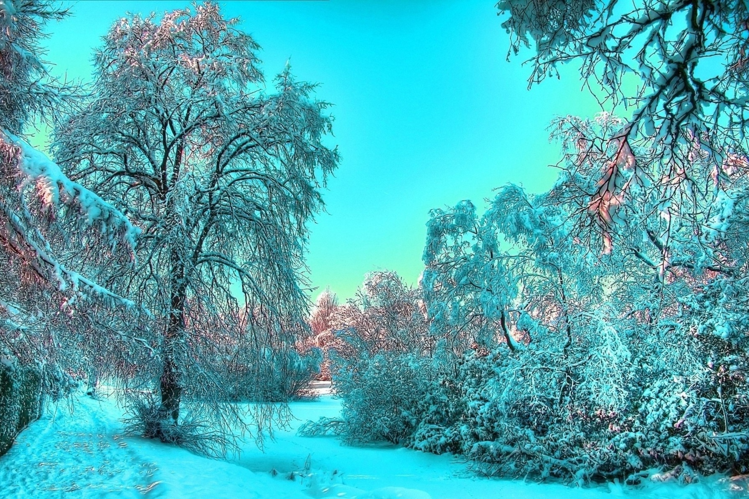 Das Last Month of Winter Wallpaper 2880x1920