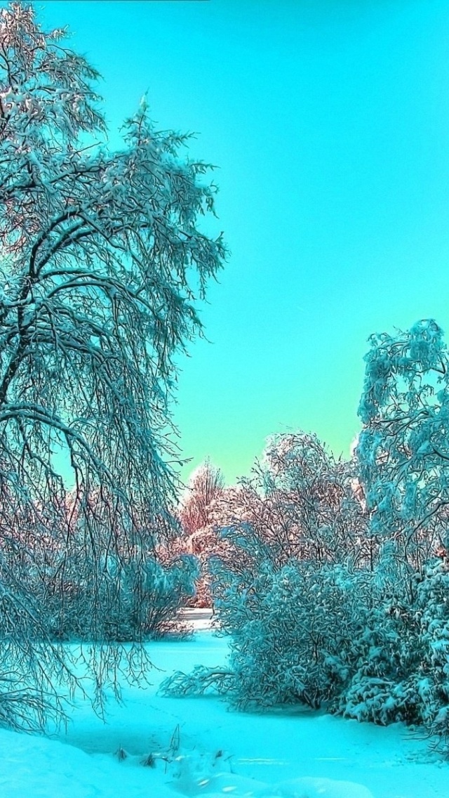 Screenshot №1 pro téma Last Month of Winter 640x1136