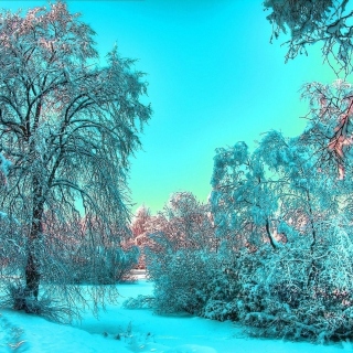 Last Month of Winter - Obrázkek zdarma pro iPad 3