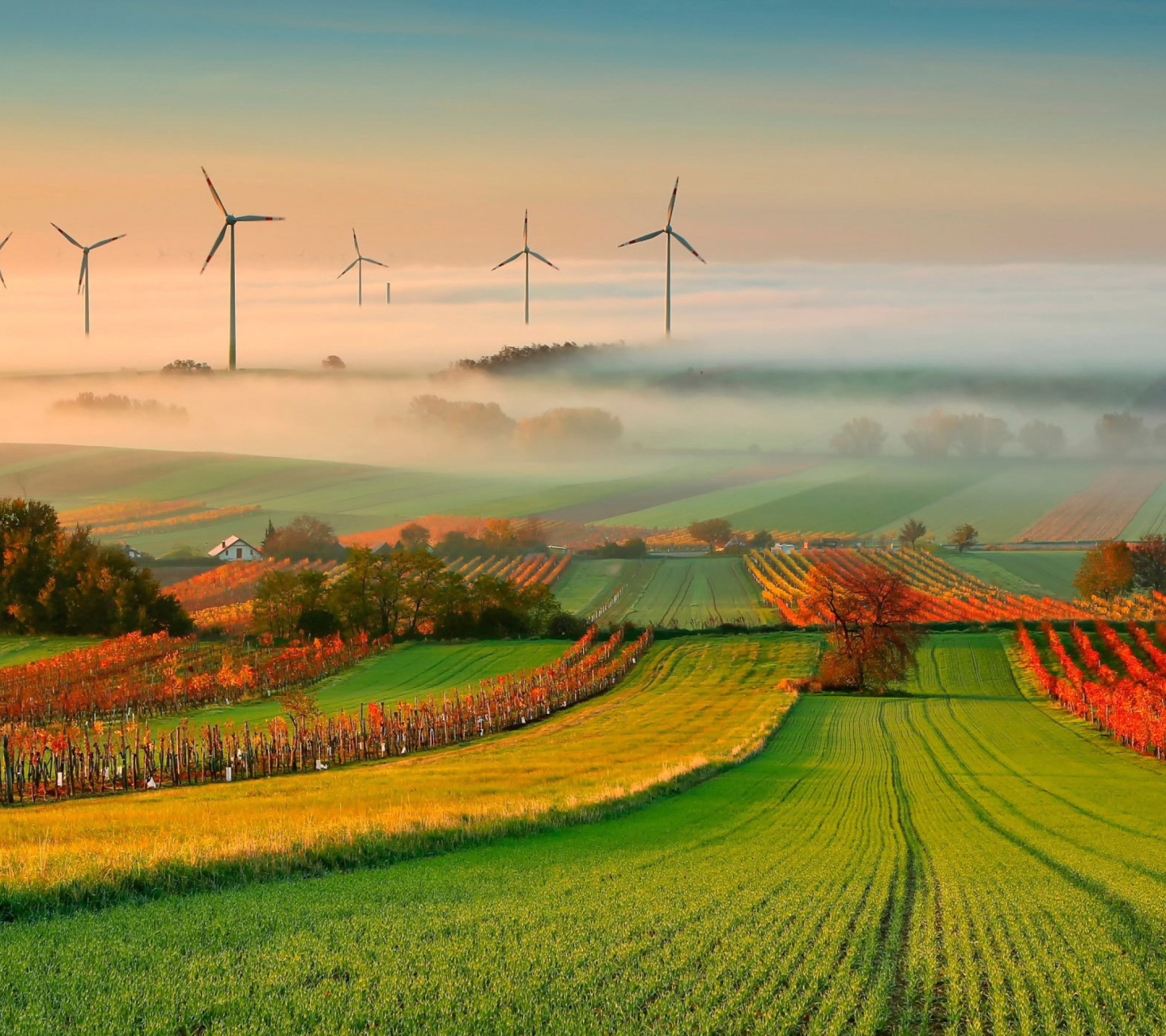 Das Successful Agriculture and Wind generator Wallpaper 1440x1280