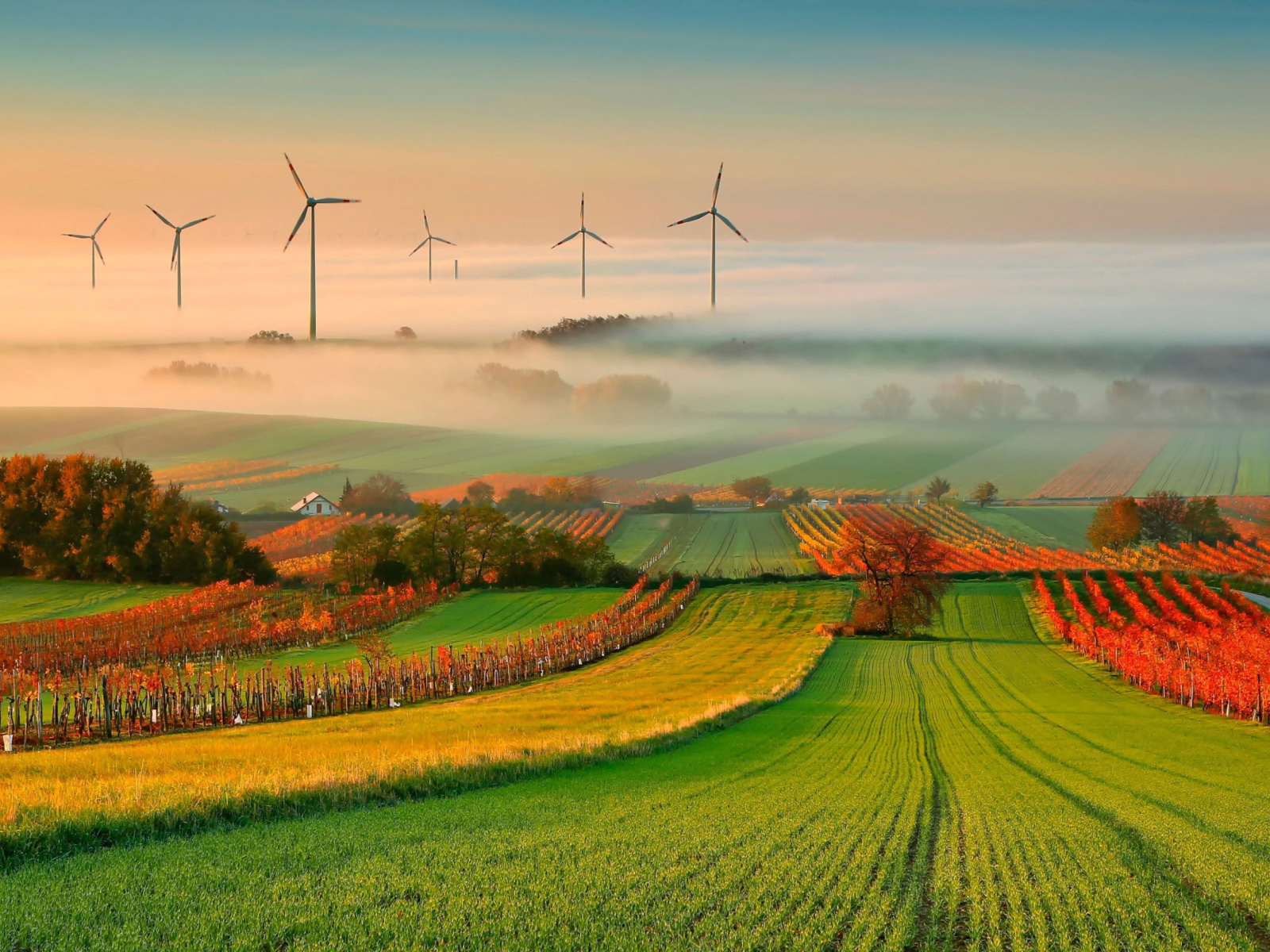 Sfondi Successful Agriculture and Wind generator 1600x1200