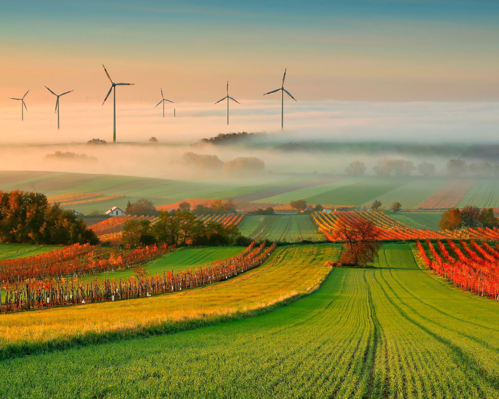 Das Successful Agriculture and Wind generator Wallpaper 1600x1280