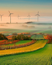 Das Successful Agriculture and Wind generator Wallpaper 176x220