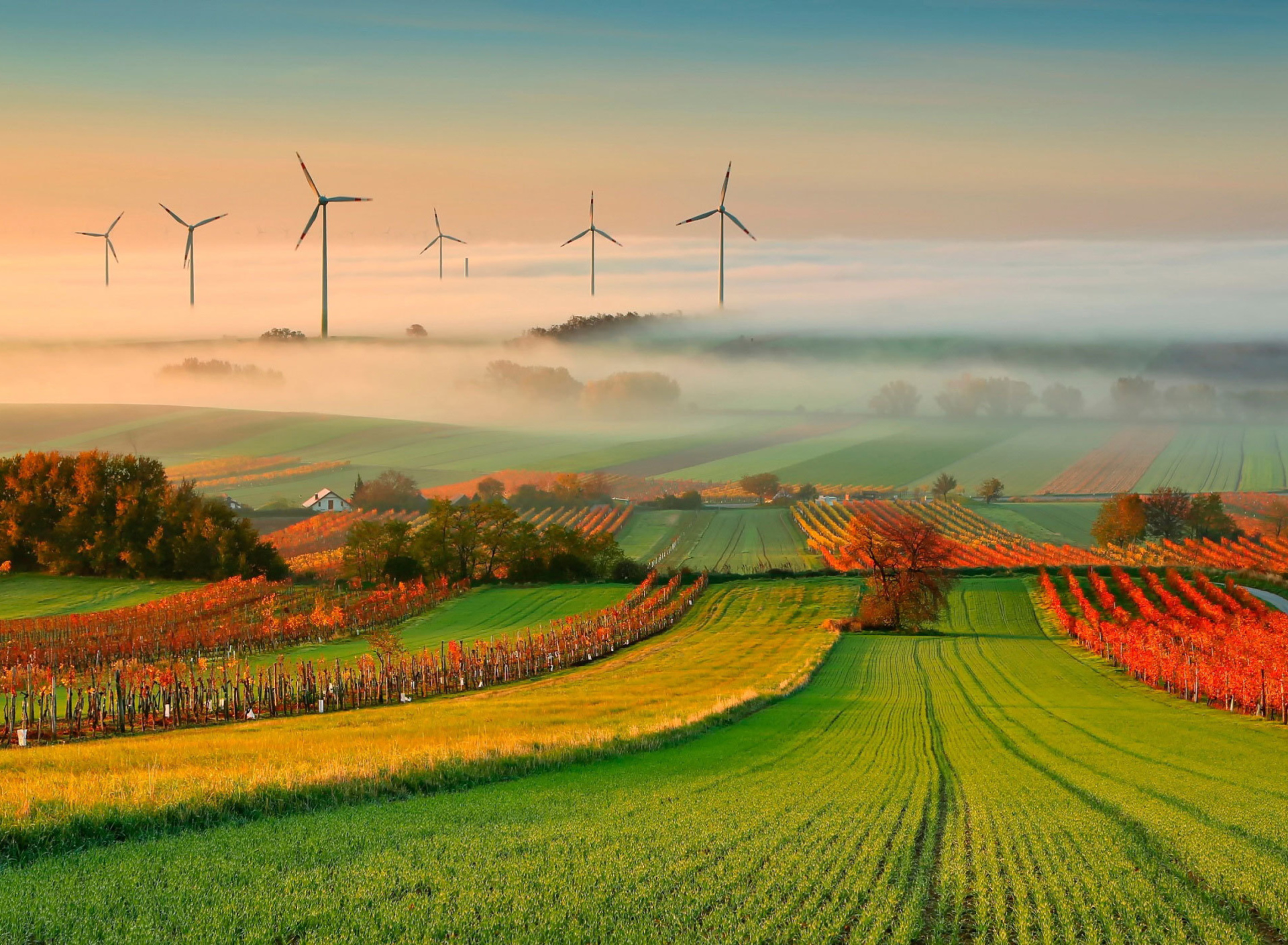 Обои Successful Agriculture and Wind generator 1920x1408