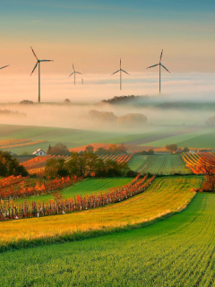 Das Successful Agriculture and Wind generator Wallpaper 240x320