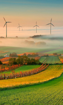 Successful Agriculture and Wind generator wallpaper 240x400