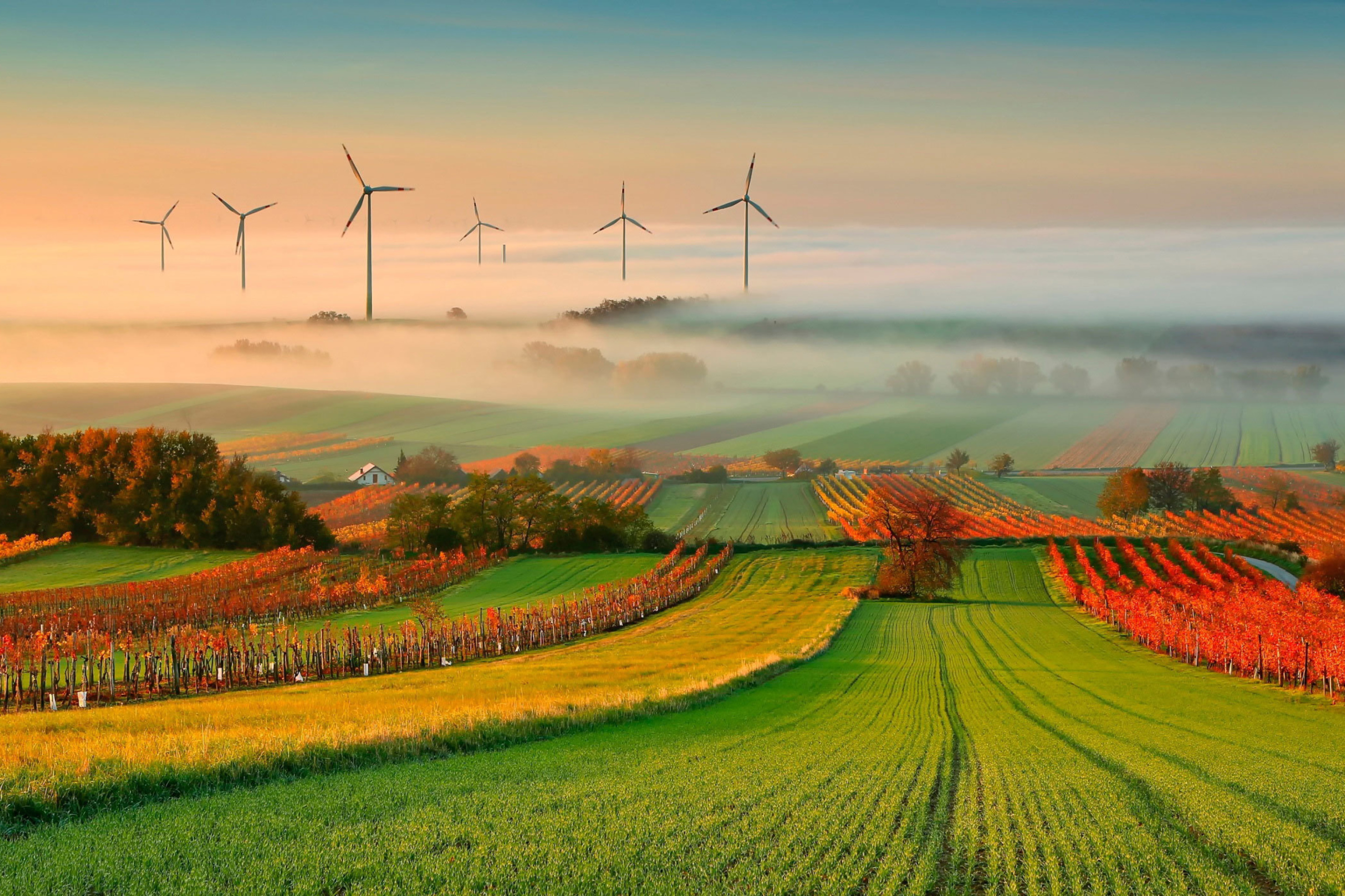 Sfondi Successful Agriculture and Wind generator 2880x1920