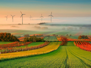 Das Successful Agriculture and Wind generator Wallpaper 320x240
