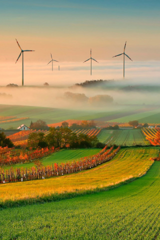 Das Successful Agriculture and Wind generator Wallpaper 320x480