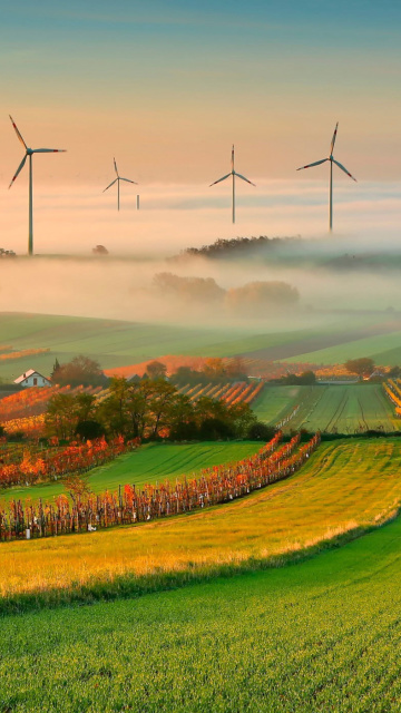 Sfondi Successful Agriculture and Wind generator 360x640