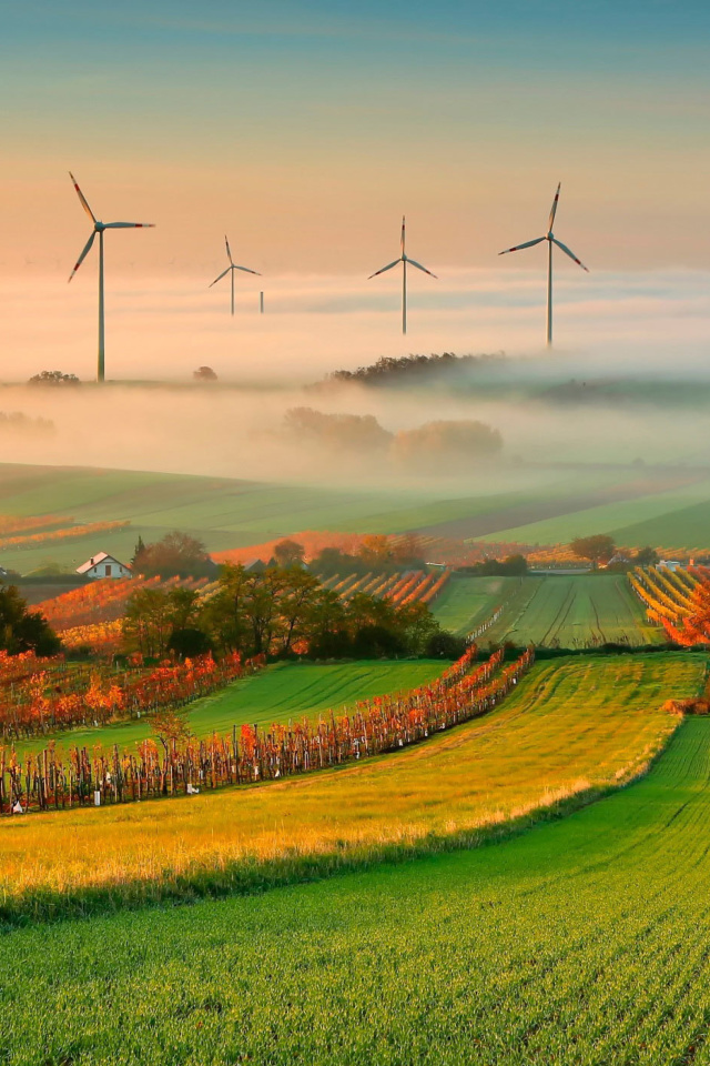 Sfondi Successful Agriculture and Wind generator 640x960