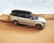 Das Range Rover In Desert Wallpaper 220x176