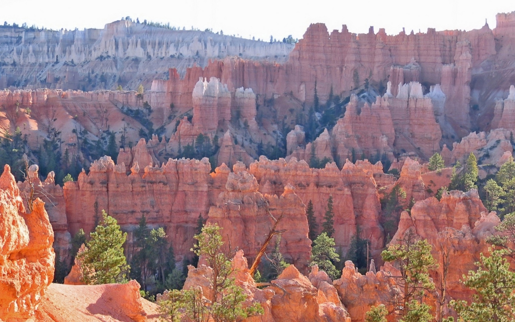 Das Grand Canyon Wallpaper 1680x1050