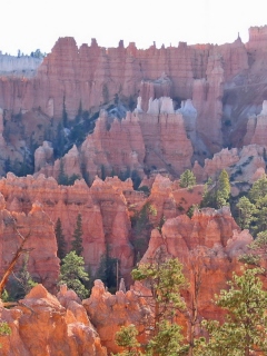 Grand Canyon screenshot #1 240x320