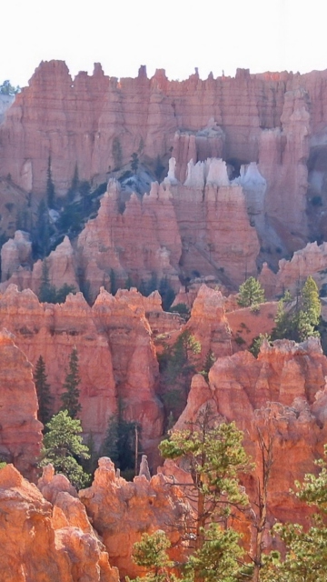 Screenshot №1 pro téma Grand Canyon 360x640