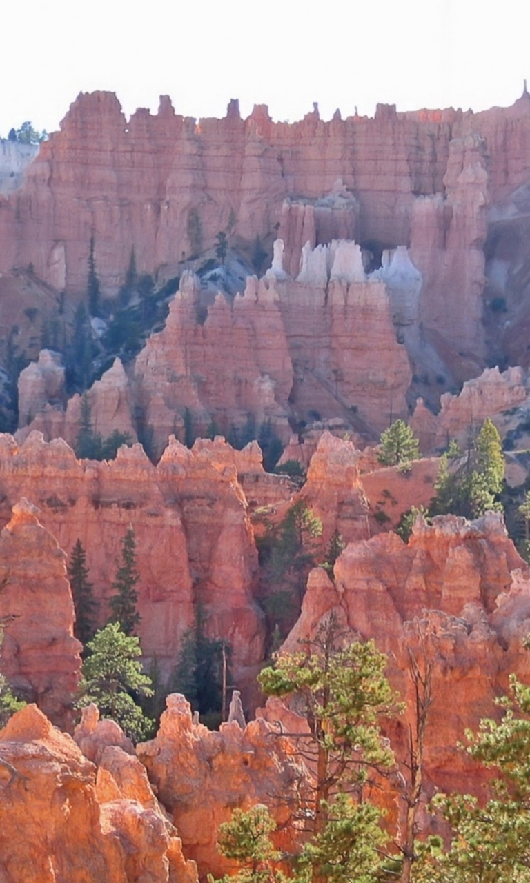 Grand Canyon wallpaper 768x1280