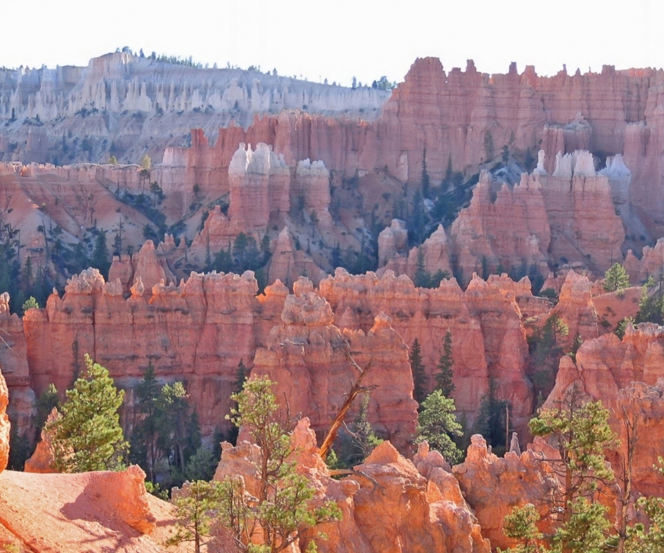 Grand Canyon wallpaper 960x800