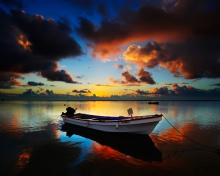 Boat In Sea At Sunset wallpaper 220x176