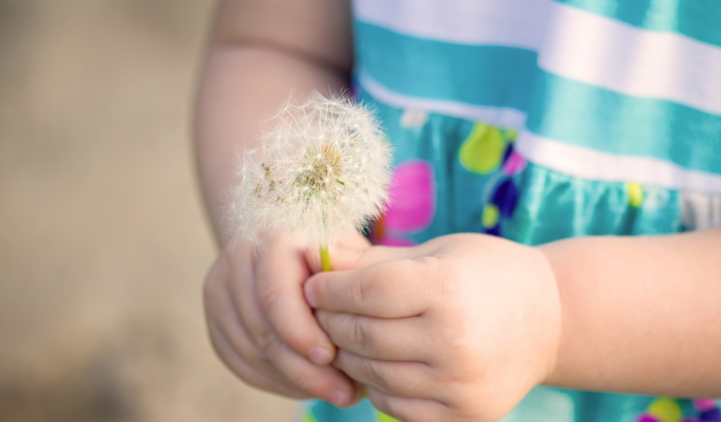 Fondo de pantalla Little Girl's Hands Holding Dandelion 1024x600