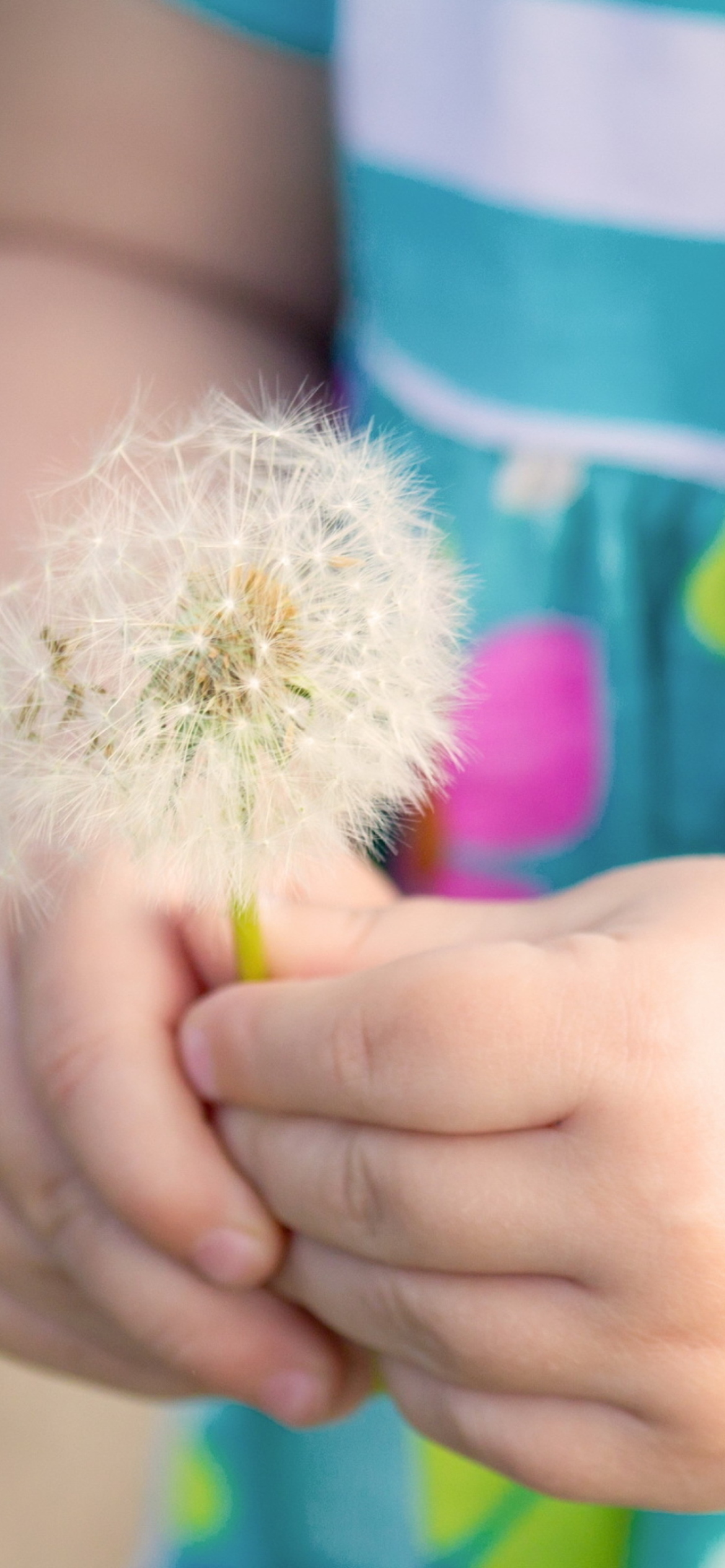 Little Girl's Hands Holding Dandelion wallpaper 1170x2532