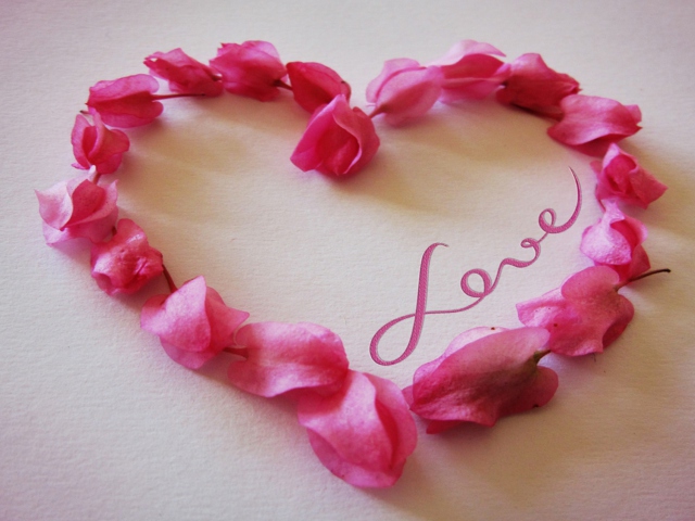 Love wallpaper 640x480