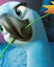 Das Jewel - Rio 2 Wallpaper 176x220