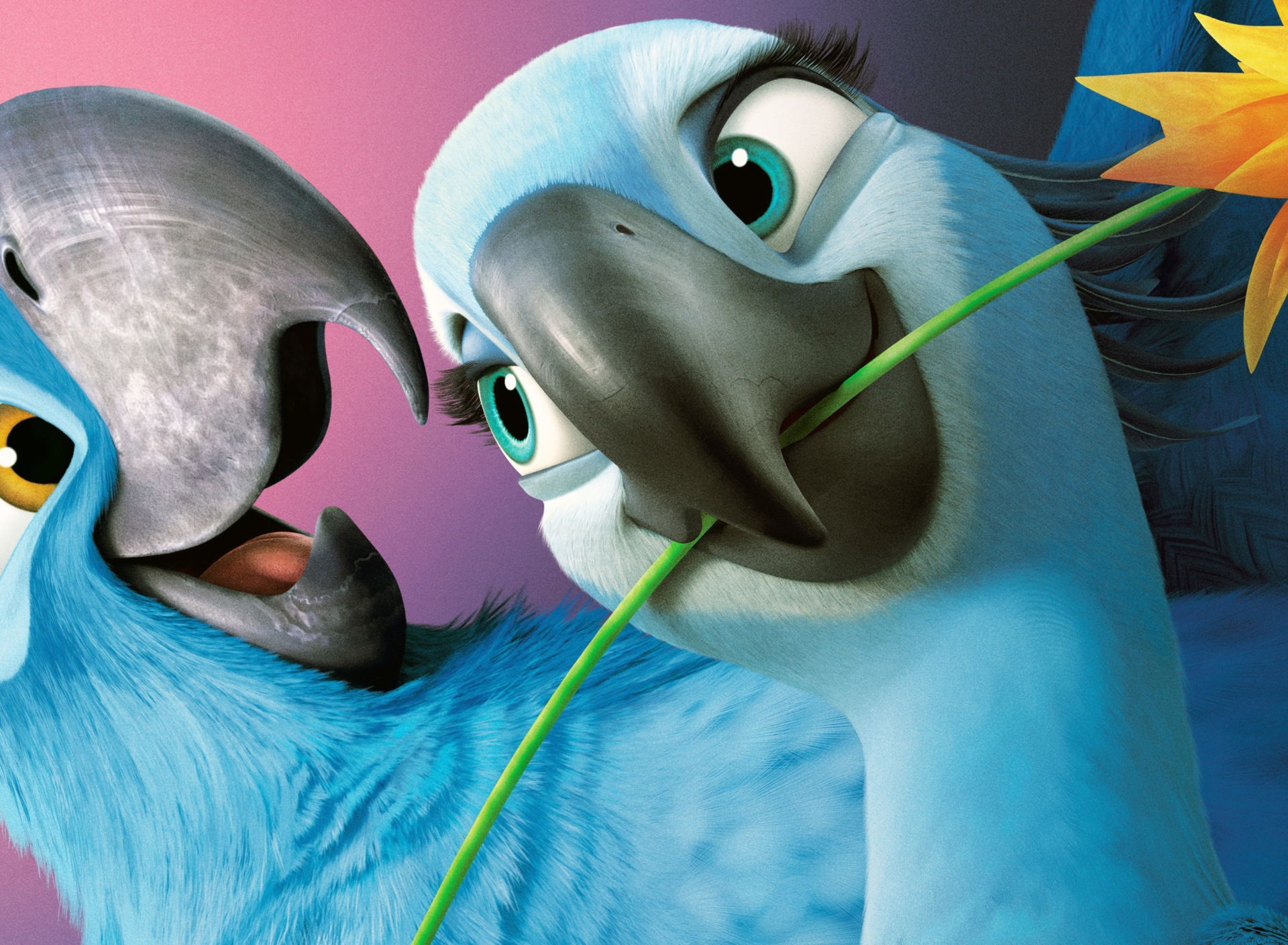 Das Jewel - Rio 2 Wallpaper 1920x1408