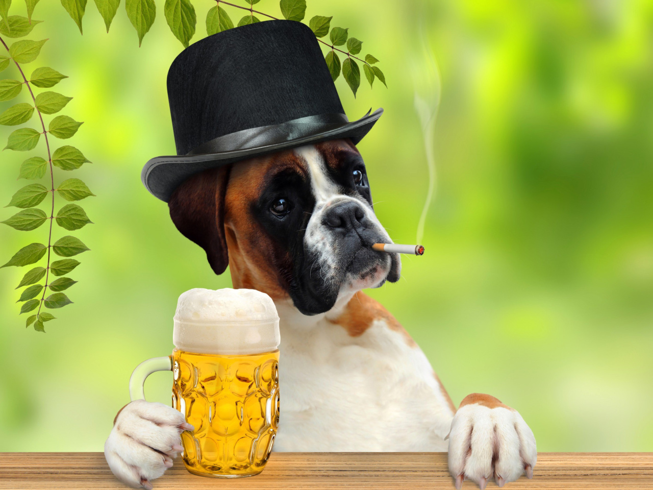 Обои Dog drinking beer 1280x960