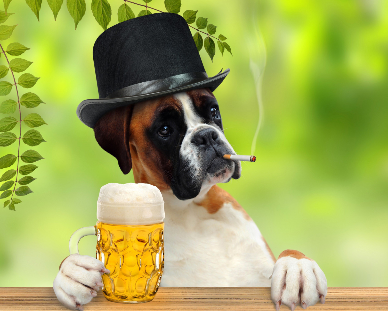 Обои Dog drinking beer 1600x1280