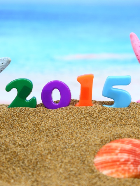Das Happy New Year 2015 on Beach Wallpaper 480x640