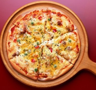 Delicious Pizza Picture for HP TouchPad