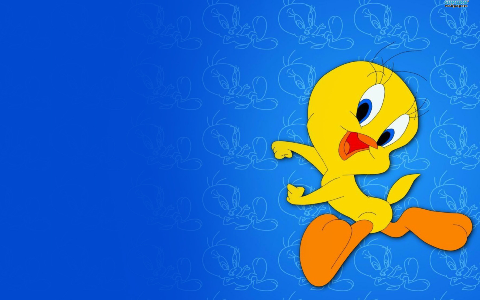 Tweety Looney Tunes wallpaper 1680x1050