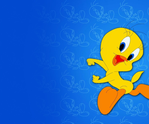 Fondo de pantalla Tweety Looney Tunes 480x400