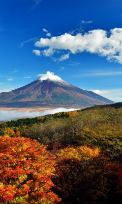 Das Mount Fuji 3776 Meters Wallpaper 240x400